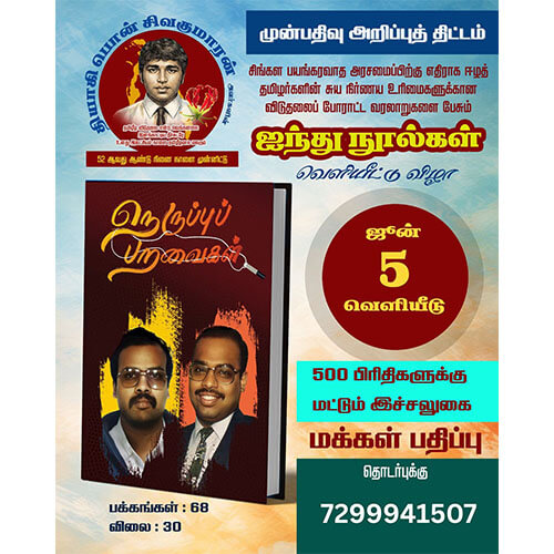 நெருப்புப் பறவைகள்
