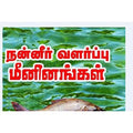 நன்னீர் வளர்ப்பு மீனினங்கள், வெ.சுந்தரராஜ், கௌரா பதிப்பகம்