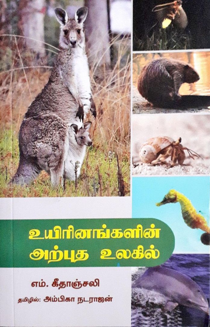 BP
